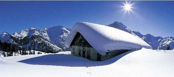 b45-wh-brief_thb-bmp