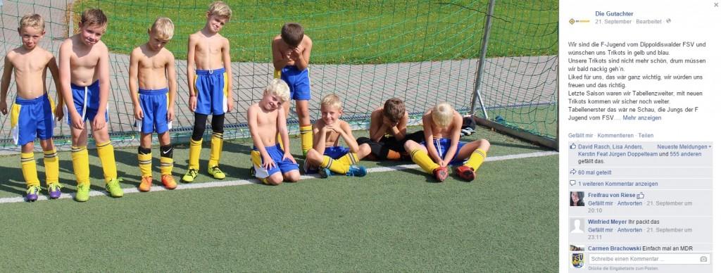 Trikotvoting_2 F-Jugend 2015