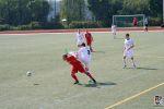 22.08.2015 IMG_6925 - Saison 2015_16