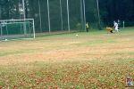 16.08.2015 IMG_6854 - Saison 2015_16