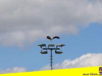 21.04.2024-IMG_4520_1-Saison-2023_24