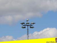 21.04.2024-IMG_4522_1-Saison-2023_24