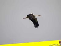 21.04.2024-IMG_4526-Saison-2023_24