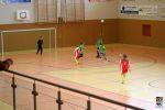 01.02.2015 IMG_4971 - FSV Hallenturnier 2015