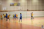 31.01.2015 IMG_4915 - FSV Hallenturnier 2015