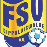 fsv-logo-gross-besser